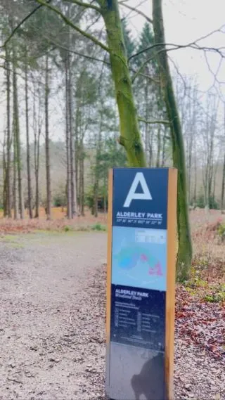 We’ve some exciting news for the #walkers out there! 🥾

We have some new walking guides, which will be available soon at The Churchill Tree, which will show three fabulous walks from our pub.

So whether you want to stomp or stroll your way through the weekend (or week) and end with a delicious meal or a few drinks during or after, you will soon be able to follow a tried and tested guide to help you on your way. 

Our Brand Manager, @mrsbufers attempted the 6 mile walk today, beginning from the @nationaltrust carpark at #AlderleyEdge to @alderleypark and @thechurchilltree for lunch and then back up to the edge again. She did it with three children and two dogs in tow and it was the perfect way to end the week, ready for a new one! 

Would you try our walks? Keep an eye out for them in all our @cheshirepubcompany venues - coming soon! ✨

…

#WalkingReels #CheshireWalks #AlderlyPark #AlderleyEdge #Walks #PubsInCheshire #PubWalks #Wilmslow #WilmslowMums #CheshireFoodie #PubLife #CountryWalks #SundayStrolls #VillagePub #CheshireLive #CheshirePubCo